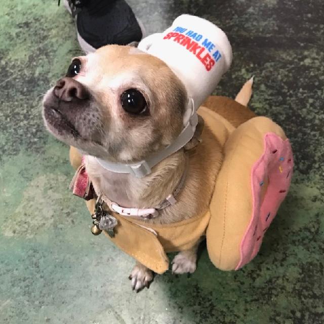 Cora's pup, Jambi