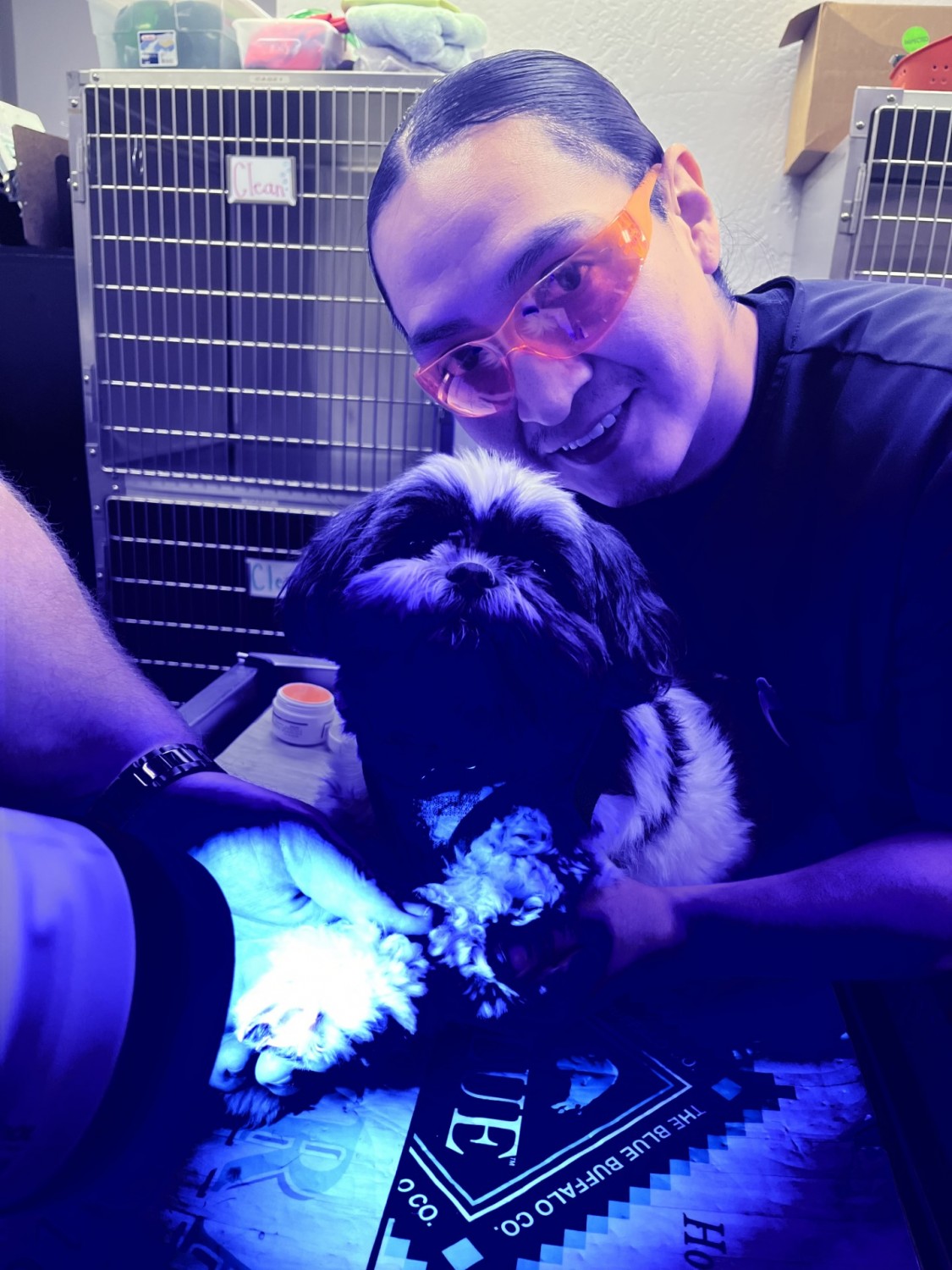 Picture of dog undergoing laser therapy